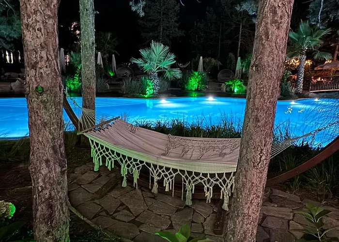 Harmony Grand - Gut *